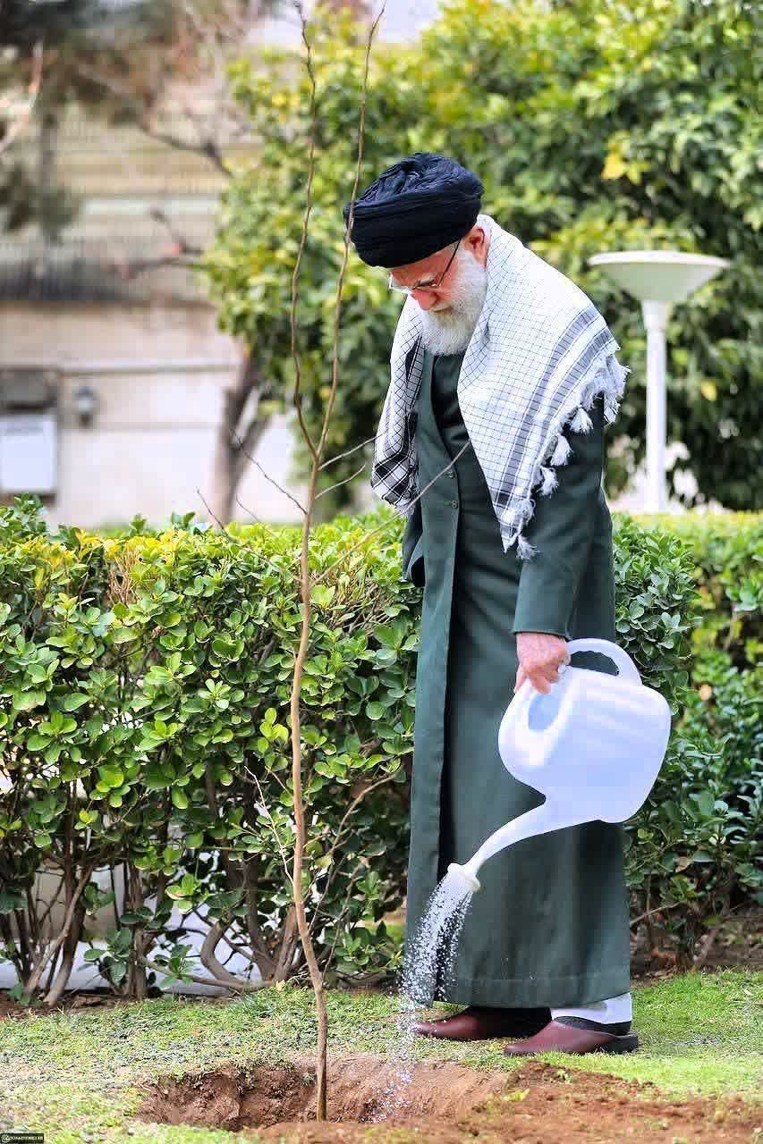۱۵ اسفند روز درختکاری